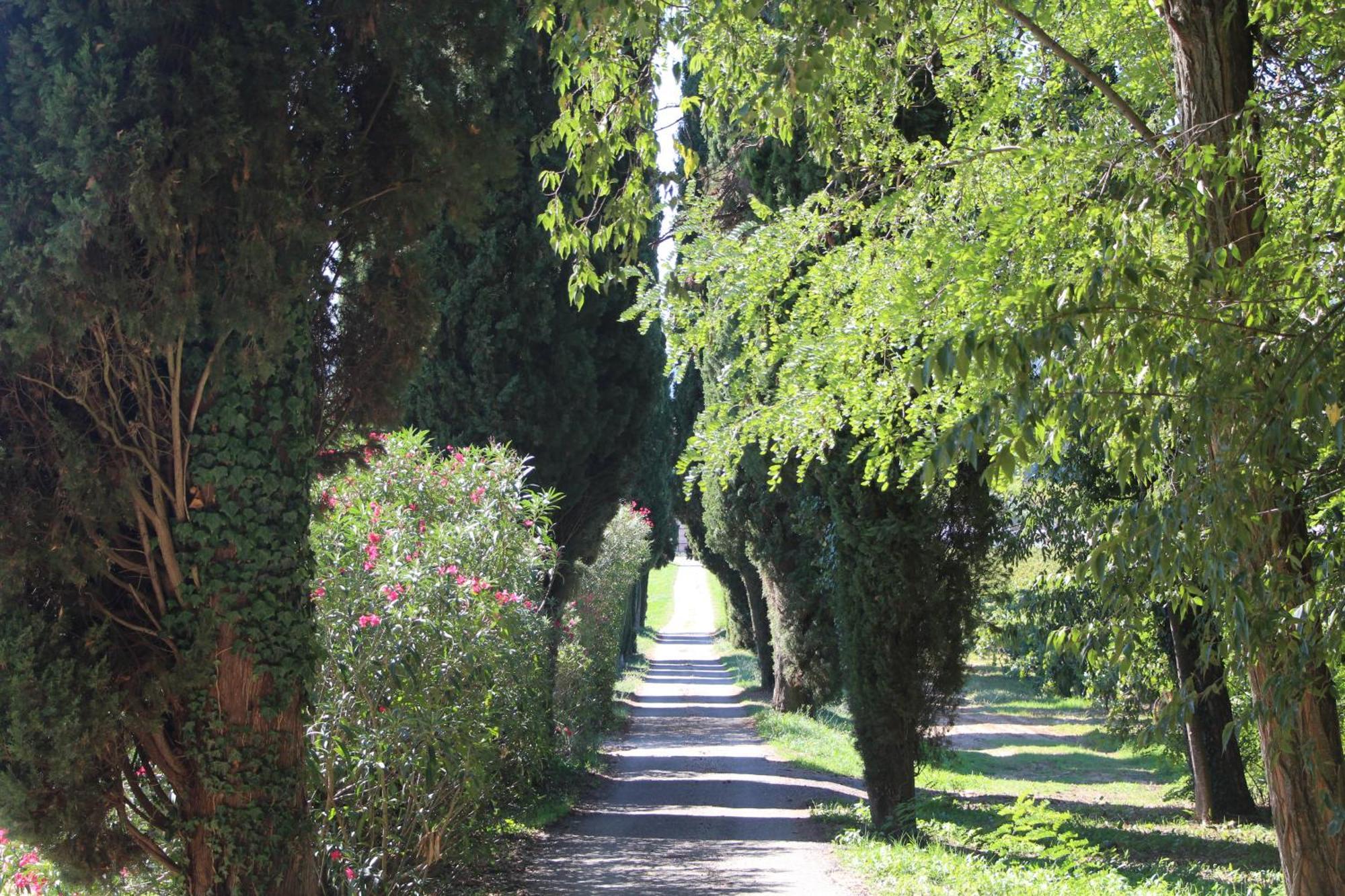 فندق Chateau De L'Olivete Cornillon المظهر الخارجي الصورة