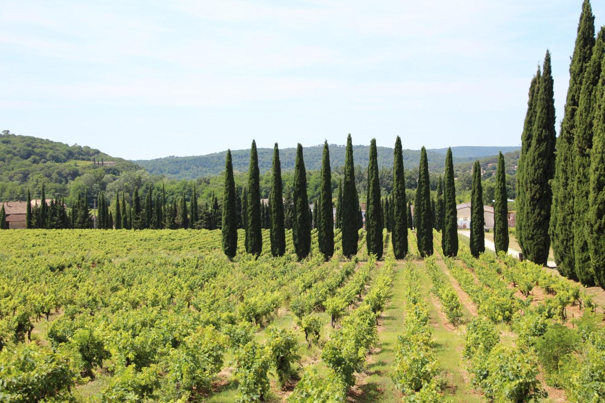 فندق Chateau De L'Olivete Cornillon المظهر الخارجي الصورة