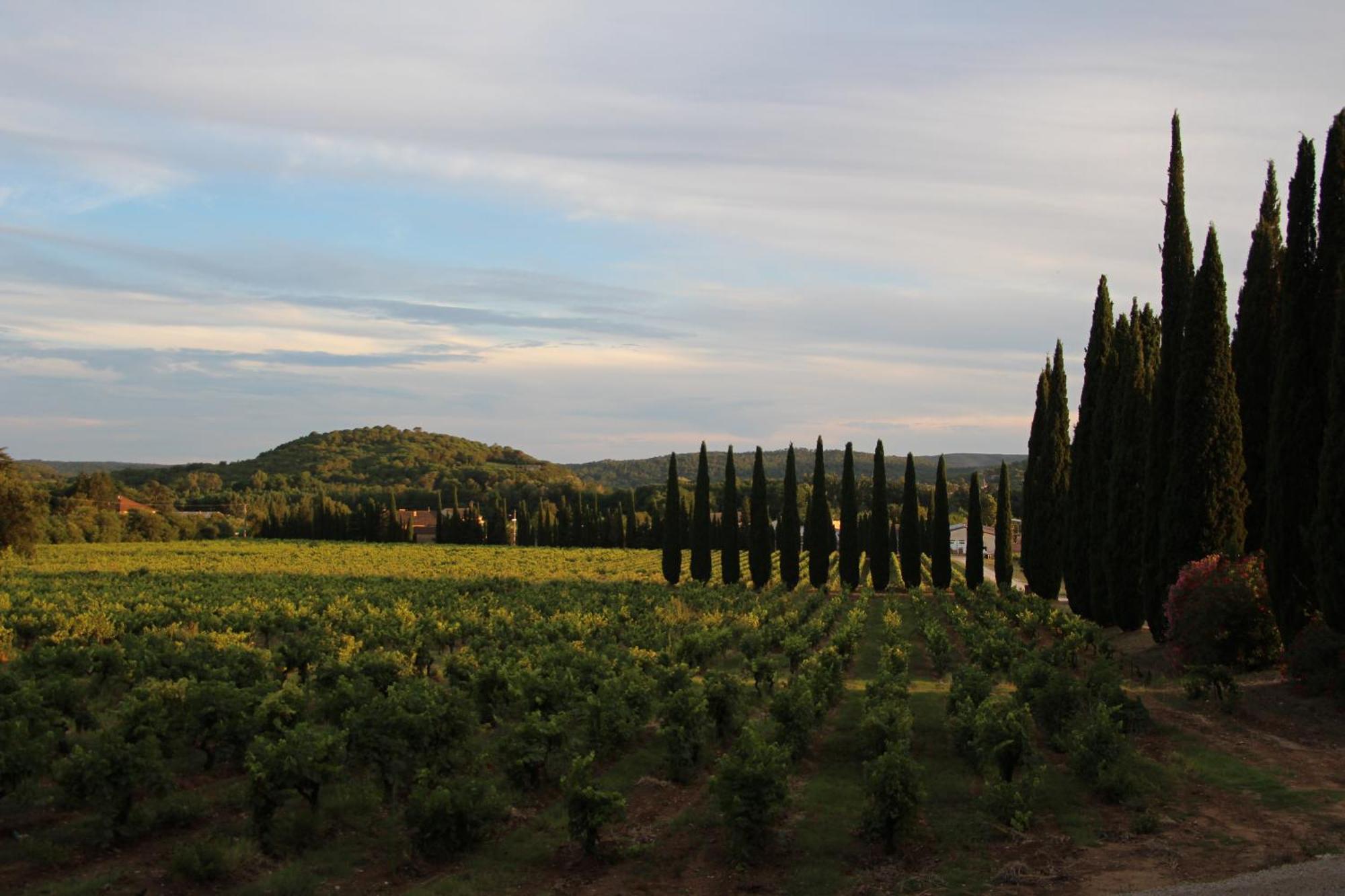 فندق Chateau De L'Olivete Cornillon المظهر الخارجي الصورة